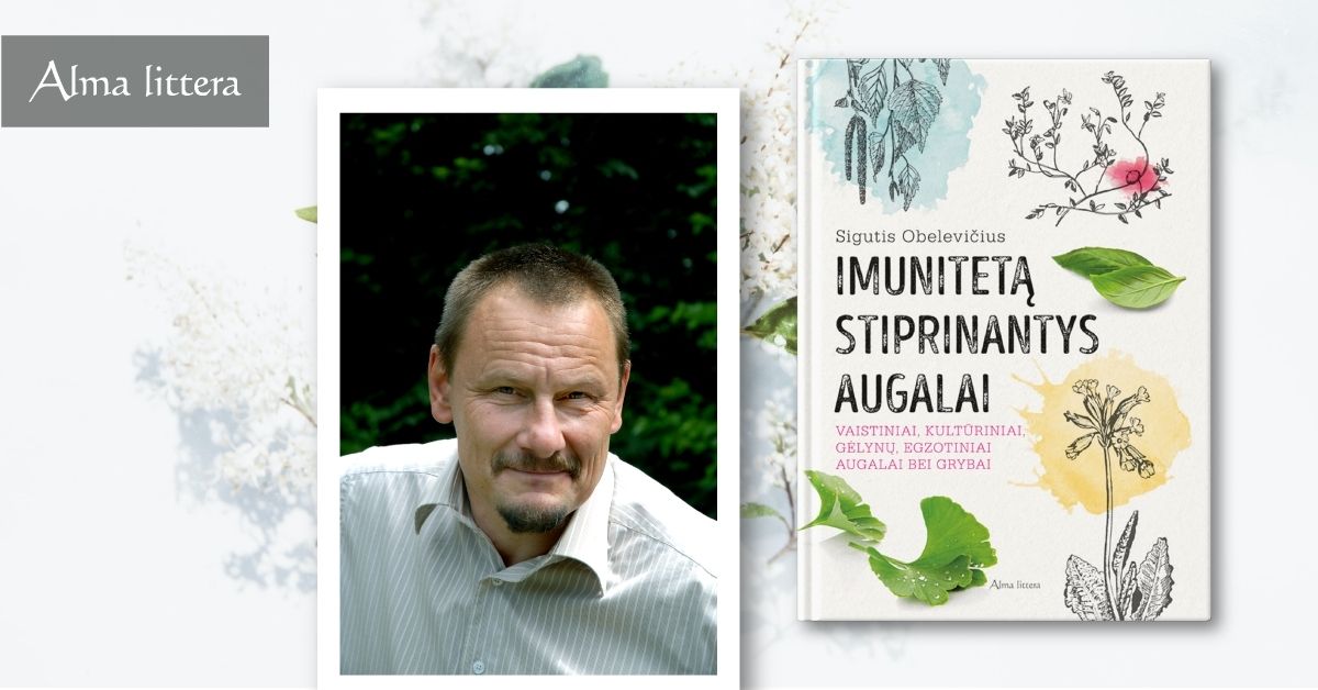 Gamtininkas Sigutis Obelevičius apie tobulą imuniteto stiprinimo trejetuką: ežiuolės, česnakai ir juodieji serbentai