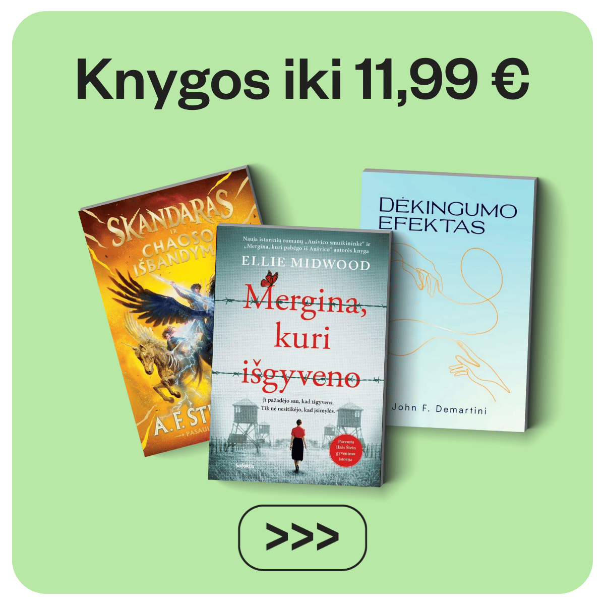 Šimtai knygų iki 11,99€