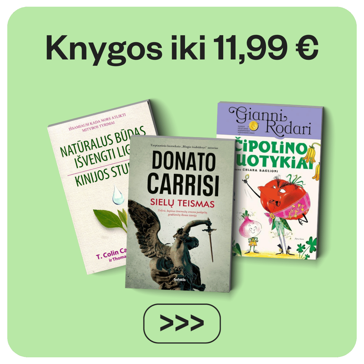 Šimtai knygų iki 11,99€